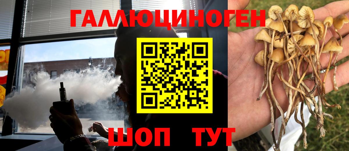 Сафоново  Псилоцибиновые грибы Psilocybe  Вход с VPN 